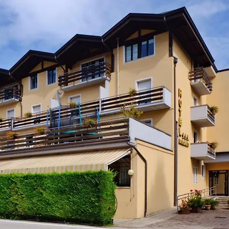 Dolomiti Hotel 3*